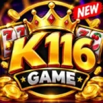 K116